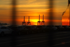 IMG_3151_Fotor1400