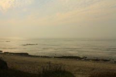 IMG_2907_Fotor1400