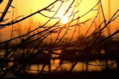 IMG_4567_Fotor1400