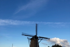 IMG_2407_Fotor1400