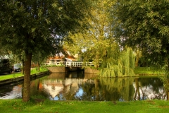 IMG_4183_Fotor1400