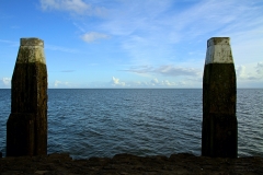 IMG_4215_Fotor1400