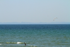 IMG_2814_Fotor1400
