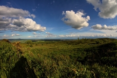 Schottland116