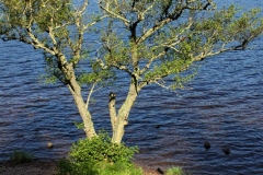 Schottland128