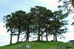 Schottland153