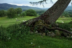 Schottland154