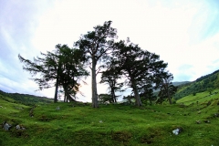 Schottland155