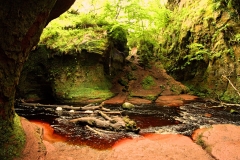 Schottland158