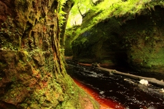 Schottland159