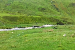 Schottland28