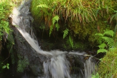 Schottland42