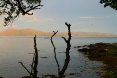 Schottland86