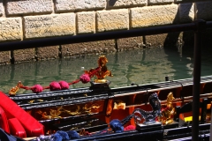 IMG_0479_Fotor 2000
