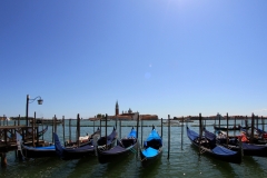 IMG_0503_Fotor