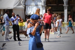 IMG_0540_Fotor